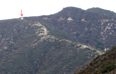 shortcut ridge trail